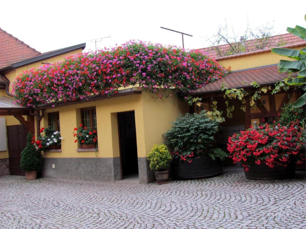 Gite Fruehmess Itterswiller Dış mekan fotoğraf